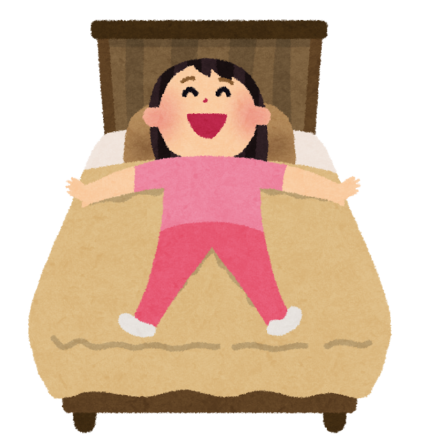 ビジネスホテル止まったら必ずやることｗｗｗｗｗ 燃えよvipper